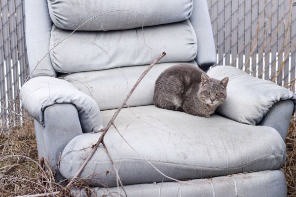 Recliner Disposal in Middleburg